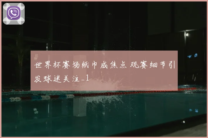 世界杯赛场纸巾成焦点 观赛细节引发球迷关注_1