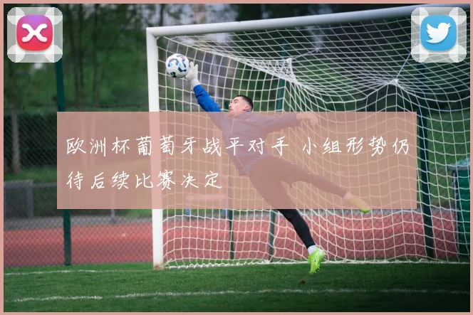 欧洲杯葡萄牙战平对手 小组形势仍待后续比赛决定